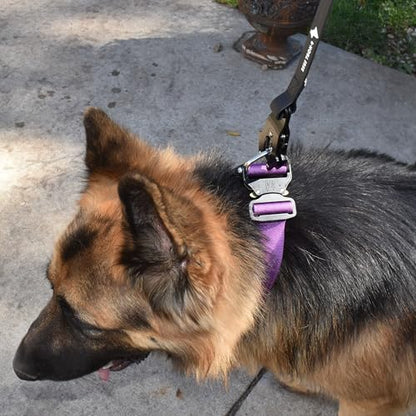 Heavy Duty Waterproof Dog Leash - Large Scissor Frog Quick Release Clasp, PVC Rubber Coated Nylon Training Lead for Large and X-Large Dogs, Odor Free, Durable, Easy to Clean, Nonslip Grip, Secure Hold - size: 6FTSM