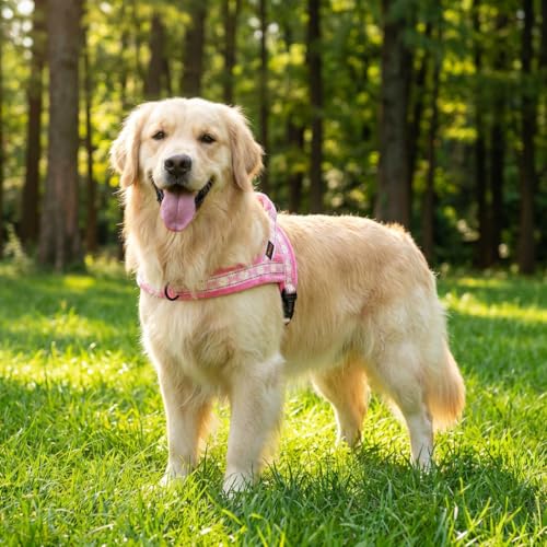 Didog No Pull Dog Harness with Soft Padded, Easy Walk Dog Harness with Quick Release Buckle, Adjustable & Reflective Pet Harness with Soft Padded for Medium Large Dogs (L:Chest 26-33", Pink) - color: Pink, size: L:Chest 26-33", Fit 40-65 lbs