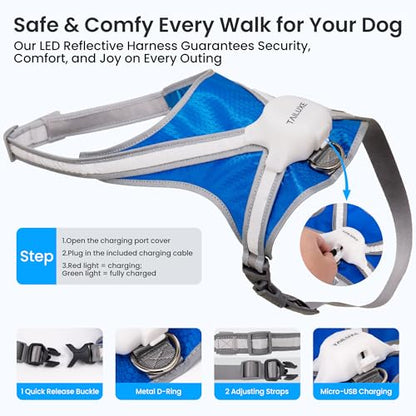 Light Up Dog Harness, Reflective Adjustable Dog Vest, No Pull Illuminated LED Harness for Dogs Night Walking Hiking Running, Waterproof,Lightweight(Large, Blue)