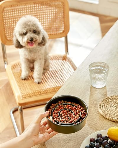 Ceramic Slow Feeder Dog Bowls, 0.6 Cup Slow Feeder for Small Dogs, Puzzle Maze Bowl, Prevents Choking, 6in, Black - color: Black, size: 6 Inches