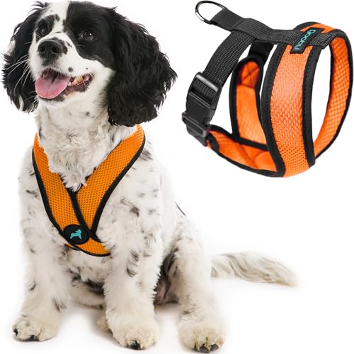 Gooby Comfort X Head-in Harness - Orange, Small - No Pull Dog Harness with Patented Choke-Free X Frame for Small Breeds - Indoor and Outdoor Use - color: Orange, size: Small Chest (11.75-15.5")