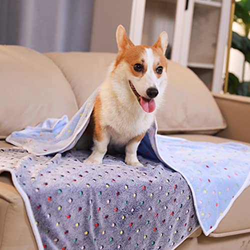 Luciphia 1 Pack 3 Blankets Super Soft Cute Dot Pattern Pet Blanket Flannel Throw for Dog Puppy Cat Small(23x16), Blue - color: Blue2, size: 23x16 inch (Pack of 3)