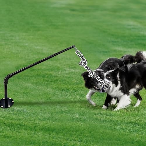 Tether Tug Outdoor Dog Toy, Interactive Exercise Game in Yard, Tether Tug with 2 Rope Toy and Bell for Large Medium Small Dog, Pull Chase and Tug of War - size: Tether Tug 39.4Inch-Black