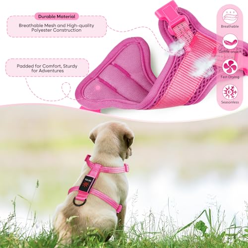 Light Up Small Dog Harness, LED Rechargeable Harness for Small Sized Dog, No Pull Reflective Adjustable Dog Vest Harness with Soft Light, Glow-in-The-Dark for Night Safety Walking (Pink)