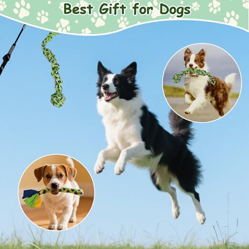 Flirt Pole for Dogs Heavy Duty, Interactive Chase & Tug of War Teaser Wand with Detachable Replacement Knot Ball and Rope Chewing Toys Flirt Stick for Small Medium Large Dogs Exercise & Training - color: green