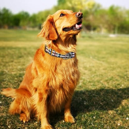 Hikiko Dog Collar for Small Medium Large Dogs, Adjustable Nylon Martingale Collars with Quick Release Buckle (Beige Plaid,L) - color: Beige plaid, size: Large