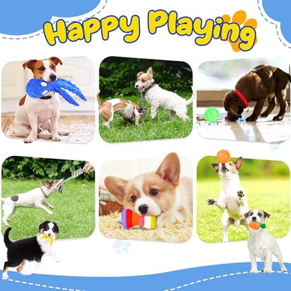 Puppy Toys 23 Pack, Interactive Dog Toys for Puppy Teething, Puppy Chew Toys with Squeaky Plush Toys, Rope Toys and Dog Treat Balls, Puppy Teething Toys for Small Dogs, Blue