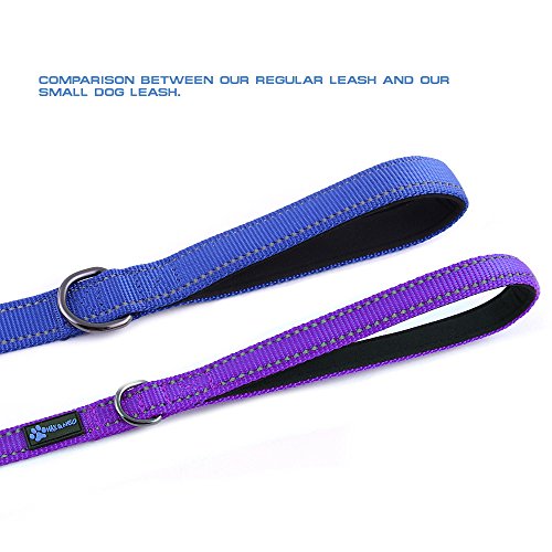 Max and Neo Small Dog Leash - Reflective Nylon, Donates to Dog Rescue (Purple, 4x5/8) - color: PURPLE, size: 4 FT x 5/8" Wide