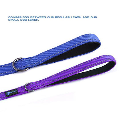 Max and Neo Small Dog Leash - Reflective Nylon, Donates to Dog Rescue (Purple, 4x5/8) - color: PURPLE, size: 4 FT x 5/8" Wide