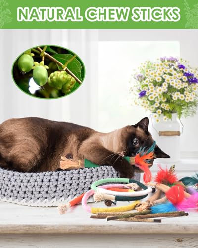 TINDTOP Cat Chew Toys, 12 Pack Silvervine Chew Sticks with 2 Pack Chew Ropes for Kittens Teeth Cleaning, Increase Appetite, Aggressive Chewers Cat Dental Toy - color: 14 Pack