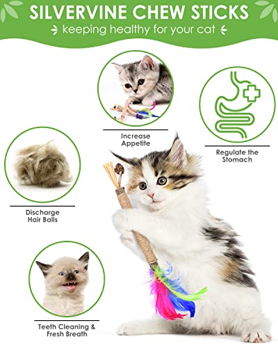 TINDTOP Silvervine Chew Sticks for Cats, Natural Catnip Chew Toys for Kittens Teeth Cleaning, Matatabi Dental Care, Increase Appetite, Calm Cat Anxiety and Stress, Cat Dental Toy (3 Pack) - color: 3 Pack