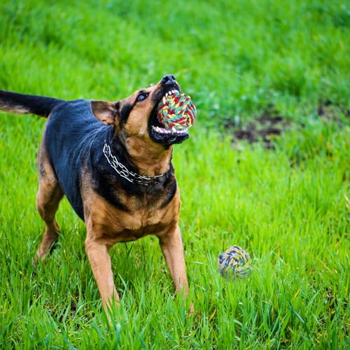 15 Pack Dogs Rope Toys for Large/Medium/Small Aggressive Chewers, Tough Cotton Dental Rope Toys Kit, Heavy Duty Dog Tug of War Toy for Chewing, Playing, Teething, Teeth Cleaning, Tossing and Catching - size: 15pc