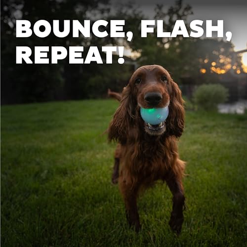 Outward Hound by Planet Dog Strobe Ball Glo Light Up LED Ball Dog Toy - color: Glow in the Dark Strobe Toy