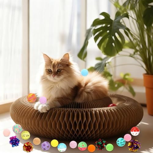 Zopeal 64 Pcs Easter Cat Toy Gift Set Magic Cat Scratcher Board Ball Launcher Gun Crinkle and Yarn and Plastic Bell Ball Kitten Toy with Bow for Pet Interactive Engaging Gift(Organ Shape) - style: Organ Shape