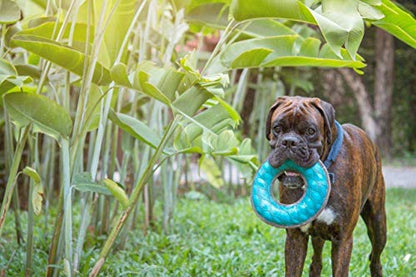 Tuff Pupper SuperChewy Tough Floating Dog Water Toy Strong Natural Rubber | Great Dog Fetch Toy | Pool Swimming Toy for Puppy| Durable Training Toy for Non-Aggressive Chewers