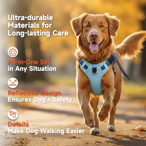 Blue Dog Harness Leash Collar Set, No Pull Reflective Dog Vest Harness with Control Handle, Adjustable Breathable Pet Harness for Small Medium Dogs Walking Training - color: Blue, size: M