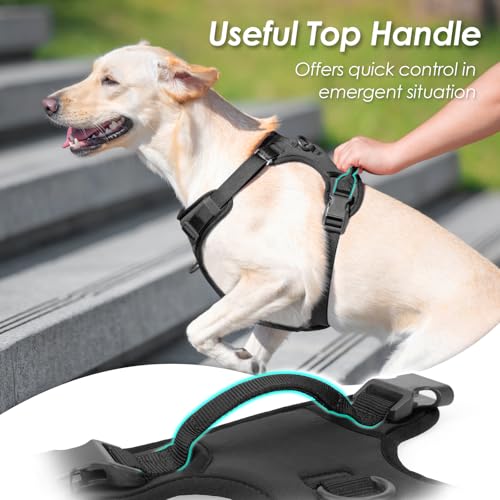 No Pull Dog Harness, Puppy Vest with Front Clip for Small Medium Large Sized Dog(Black,XS) - color: Black, size: XS(Neck:11.8-16.5", Chest:14.2-19.7")
