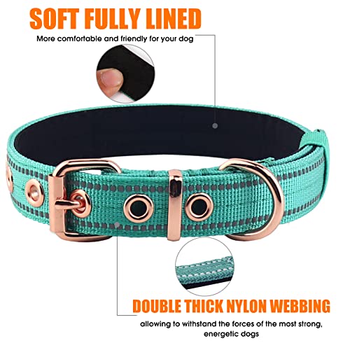 Neoprene Padded Dog Collar, Nylon Collar for Small to Large Dogs, Heavy Duty with Metal Buckle, Reflective(Small, Teal) - color: Teal, size: Small(Pack of 1)