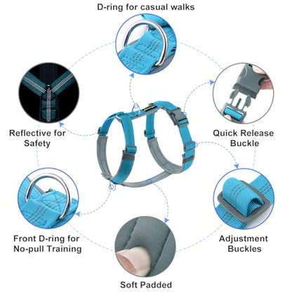 Plutus Pet No Pull Dog Harness, Adjustable Nylon Harness with Soft Padding, Reflective and Heavy Duty Dog Harness for Small, Medium, Large Dogs(Cyan, XS) - color: Cyan, size: XS