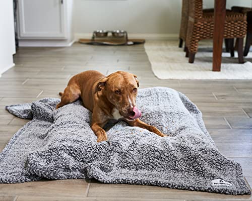 PET Parents Premium CAT, Puppy and Dog Blanket, Slate, Large - color: Slate, size: 50"x60"