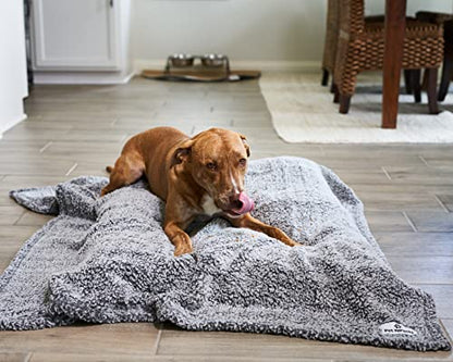 PET Parents Premium CAT, Puppy and Dog Blanket, Slate, Large - color: Slate, size: 50"x60"