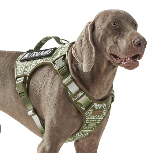 AUNZO Green Dog Harness for X-Large Dog Breeds, No Pull Adjustable Pet Harness with Handle, Reflective K9 Military Service Dog Vest for Walking Hiking Training, Green Ethnic, XL - color: Green Ethnic, size: Extra Large