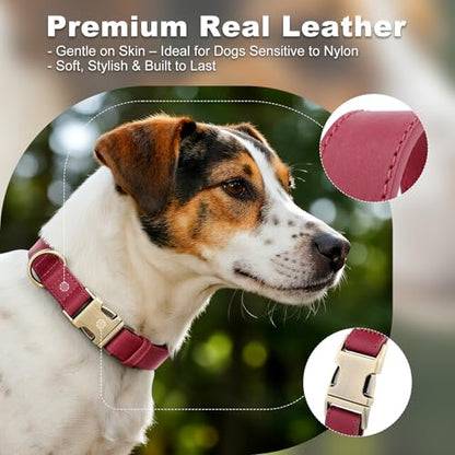 Plutus Pet Genuine Leather Dog Collar – Adjustable Pet Collar with Quick Release Metal Buckle, Soft Real Leather for Small Medium Large Dogs, Heavy Duty & Skin-Friendly (Burgundy, XS) - color: Burgundy, size: XS