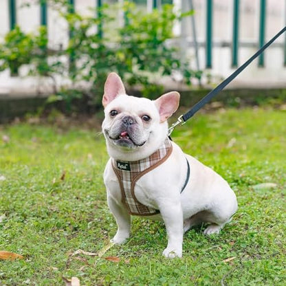 PUPTECK Soft Mesh Dog Harness and Leash Set Pet Puppy Cat Comfort Padded Vest No Pull Harnesses, Brown, XS - color: Brown, size: XS (NECK: 10", CHEST: 10"-14")