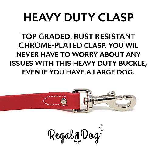 Regal Dog Products Waterproof Leash – 5 ft. Red Dog Leash with Easy to Use Collar Hook, Lightweight, and Proof Training Pet Lead with Vinyl-Coated Webbing for Small, Medium, Large, or XL Dogs - color: Red