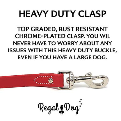 Regal Dog Products Waterproof Leash – 5 ft. Red Dog Leash with Easy to Use Collar Hook, Lightweight, and Proof Training Pet Lead with Vinyl-Coated Webbing for Small, Medium, Large, or XL Dogs - color: Red