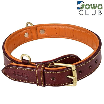 Genuine Leather Dog Collar – Full Grain, Breathable Inner Padding, Padded Buckle – Heavy Duty, Adjustable for Small, Medium, Large & XL Breeds (Dark Brown, M (Fit Neck Size 14.5"-18.5")) - color: Dark Brown, size: M (Fit Neck Size 14.5"-18.5")