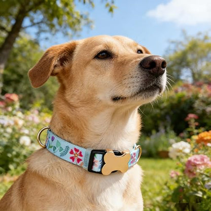 Personalized Custom Customized Silent No Jingle Dog Collar with Engraved ID Dog Name Phone Number/Dog Collars for Puppy X-Small Small Medium Large X-Large Boy Girl Dogs-Blue Flower-XS - color: 12 Blue Flower, size: X-Small (0.6" *7.8"-11.8")