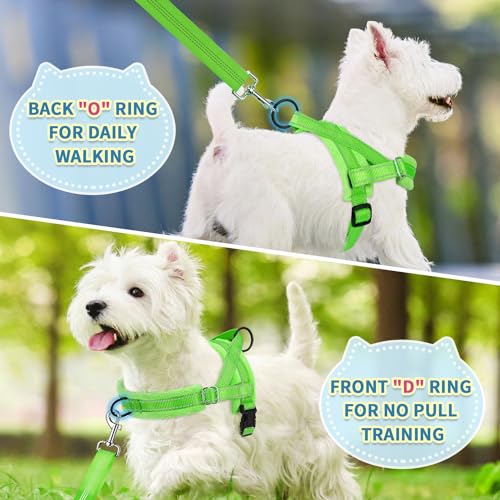 SlowTon No Pull Small Dog Harness and Leash Set, Puppy Soft Vest Harness Neck & Chest Adjustable, Reflective Lightweight & Anti-Twist Pet Lead Combo for Small Medium Dogs (G- Front Clip,S) - color: B-Light Green - With Front Clip, size: Small