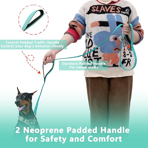 Dog Leash, 4ft Long, Double Handle, Reflective, Turquoise, for Small, Medium, Large Dogs - color: Turquoise, size: 4ft
