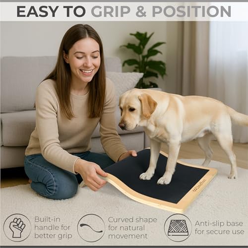 Dog Scratch Board for Nails – Dog Nail Scratch Pad with 2 Extra Sandpapers & Training Guide – Safe Dog Nail File Board for Natural Trimming – Dog Nail Board for All Sizes (Large 16.2in * 16.2in) - size: Large (16.2in * 16.2in)