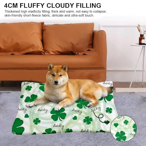 Cozy Dog Pads with Anti-Slip Bottom, St Patricks Day Leaves Dog Necessities Puppy Pads Beds for Crates Comfy Pet Mat for Indoor& Outdoor Sofa Cars, Machine Washable 24 X 18 Inch - size: 24 × 18 inch