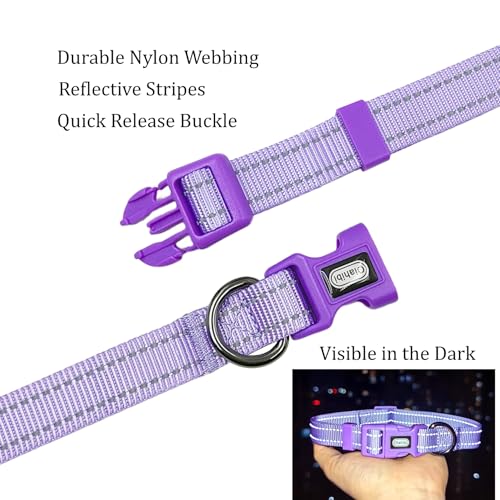 Dog Collar Leash Set, Durable Polyester with Reflective Strips, 5ft Matching Leash, Adjustable 4 Sizes for Small Medium Large Dogs.(XS, Purple) - color: Solid Purple, size: Extra Small