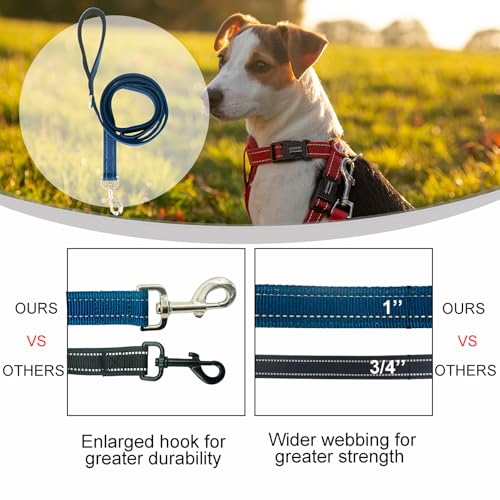 Dual Padded Handle Standard Dog Leashes with Reflective Stitching,360° Rotatable Heavy Duty Metal Buckle,D-Ring,Durable Nylon,for Medium Sized Dogs from 20 to 60 Pounds Walking and Training Blue 5Ft - color: Blue, size: 5Ft
