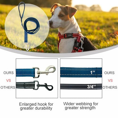 Dual Padded Handle Standard Dog Leashes with Reflective Stitching,360° Rotatable Heavy Duty Metal Buckle,D-Ring,Durable Nylon,for Medium Sized Dogs from 20 to 60 Pounds Walking and Training Blue 5Ft - color: Blue, size: 5Ft