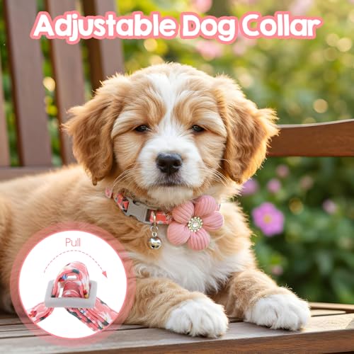 Small Dog Collar with Flower, Puppy Collar for Girl Dog Collars for Small Dogs Cute Collars with Bell, Adjustable Length Neckband (Pink)
