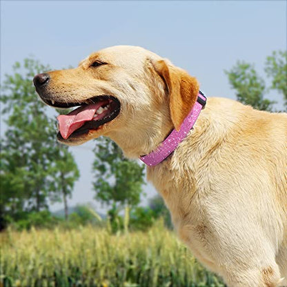 TDTOK Glitter Dog Collar, Comfy and Durable Bling Pet Collar for Small Medium Large Dogs with Eco-Friendly Plastic Buckle and Adjustable Stylish Nylon Material Fit Necks： 9.8-22.4'' - color: Pink, size: L