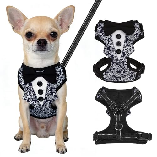 BINGPET Dog Tuxedo Harness for Small Medium Dogs, No Pull Dog Harness and Leash Set,Soft Padded Mesh Step-in Dog Vest Tux Costume for Wedding Outfit Birthday Party Holiday,Pet Formal Wear with Bowtie - color: Navy Blue, size: X-Small