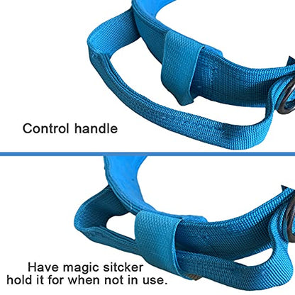 Tactical Dog Collar Adjustable Military Nylon Dog Collar with Control Handle and Heavy Duty Metal Buckle for Medium and Large Dogs (Blue,S) - color: Blue, size: Small (Pack of 1)