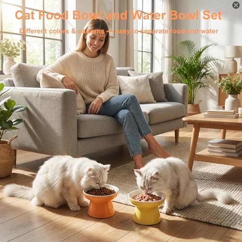 Elevated Cat Bowls,2 Pcs Ceramic Raised Cat Food Bowls with Non-Slip Base,Whisker-Friendly Shallow Design,Lead & Cadmium Free Pet Feeder,Dishwasher and Microwave Safe (Orange&Yellow) - color: Orange&Yellow