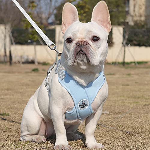 Dog Harness Pet X Frame No Pull Step-in Harnesses with Leash Set, Adjustable Reflective Choke Free Puppy with Padded Vest for Small, Medium Dogs and Cats Walking Training - color: Blue, size: Large