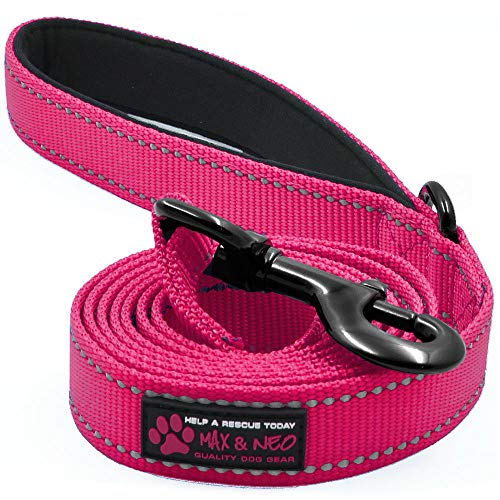Max and Neo Small Dog Leash - Reflective Nylon, Donates to Dog Rescue (Pink, 4x5/8) - color: PINK, size: 4 FT x 5/8" Wide