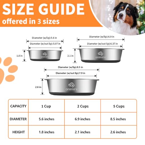 2-in-1 Metal Dog Bowl with Slow Feeder Insert, Stainless Steel Dog Bowls Food Grade 304, Water Food Bowl with Anti-Slip Silicone Base for Small, Medium, Large Dogs - color: Black, size: 5 Cups