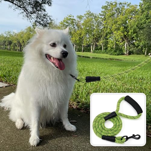 Mile High Life Comfortable Padded Handle Dog Leash - Mountain Climbing Rope Leash, Heavy Duty 4 Feet (Black Lime Green) - color: Climbing Rope - Lime Green, size: 4 Feet