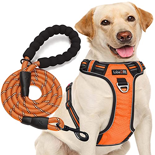 tobeDRI No Pull Dog Harness Adjustable Reflective Oxford Easy Control Medium Large Dog Harness with A Free Heavy Duty 5ft Dog Leash - color: Orange Harness+Leash, size: Medium