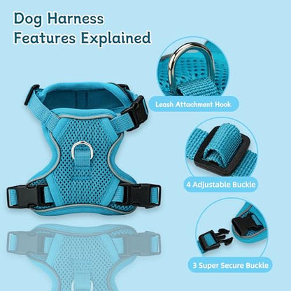 Small Dog Harness and Leash Set, Reflective Soft Breathable Mesh Vest, 3 Buckles, Adjustable Neck and Chest,Step in Dog Harness for Walking, Running, Training, Turquoise, XS - color: Turquoise, size: X-Small